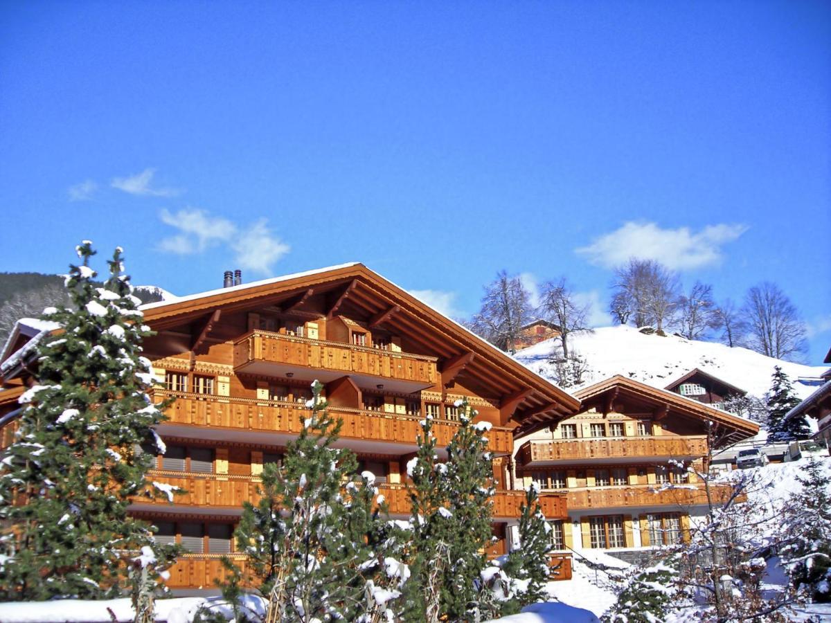 Smaragd-3 By Interhome Grindelwald